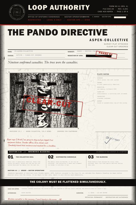Plate 005: The Pando Directive